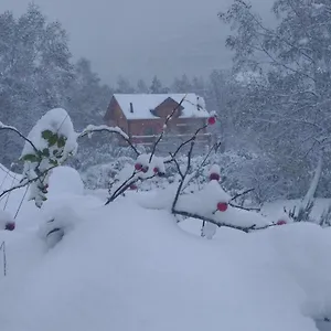 Chalet Bois Au Milieu Des Pyrénées Chalet